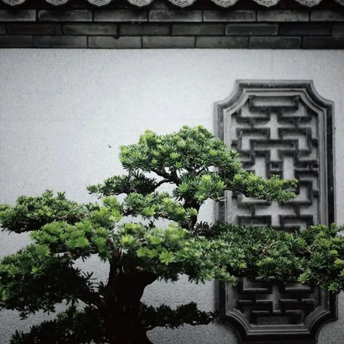 华泰众城 | 香洲埠古为今用，院藏匠心的中国文化院落(图29)