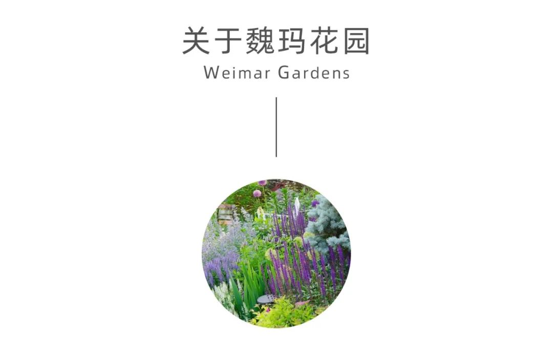 魏玛花园 | “海上森林”生态秘境式商业营造-仁恒海上源花境实践(图5)