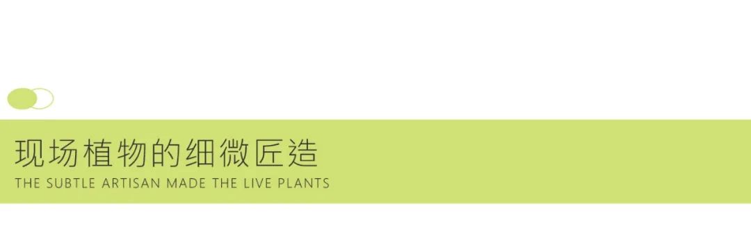 植物的自然场景化营造 | 南昌君誉城(图29)